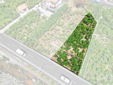 Terreno para Venda em Ribeira Brava