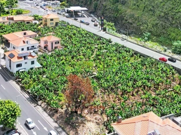 Terreno para Venda em Ribeira Brava