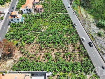 Terreno para Venda em Ribeira Brava