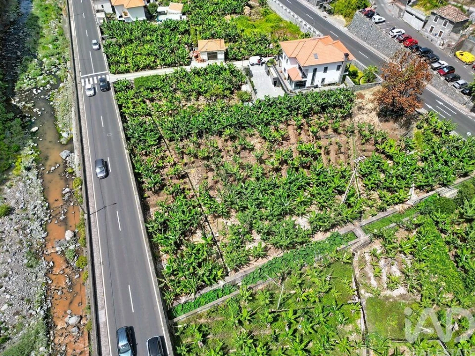 Terreno para Venda em Ribeira Brava Foto 2