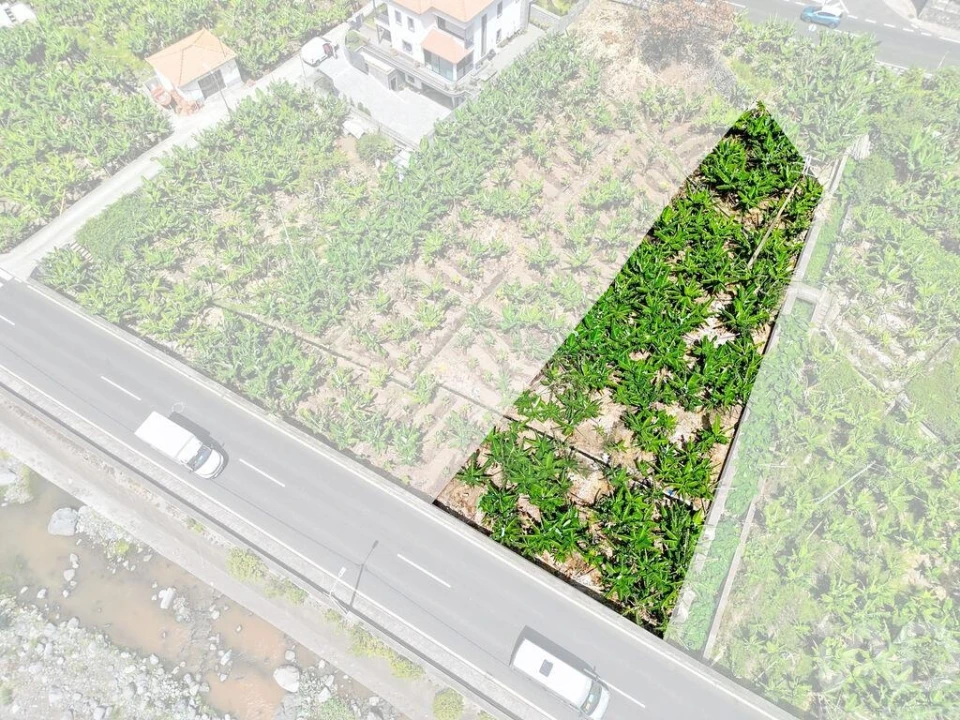 Terreno para Venda em Ribeira Brava Foto 4