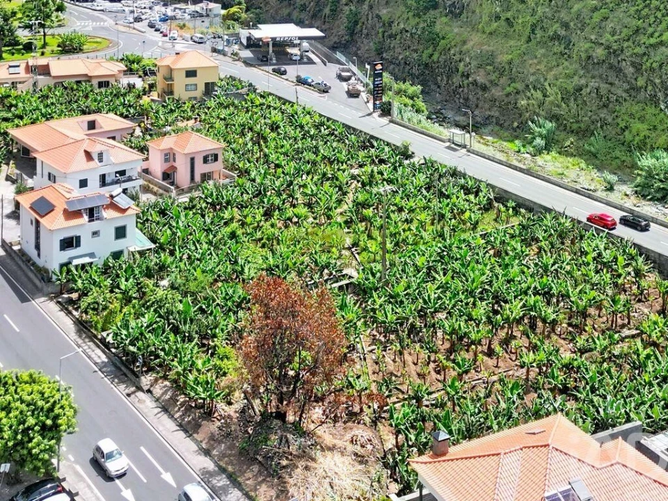 Terreno para Venda em Ribeira Brava Foto 8