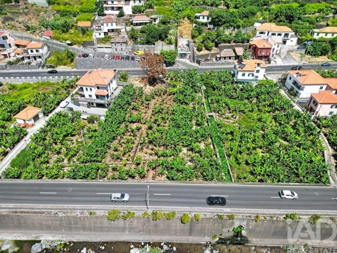 Terreno para Venda em Ribeira Brava Foto 10