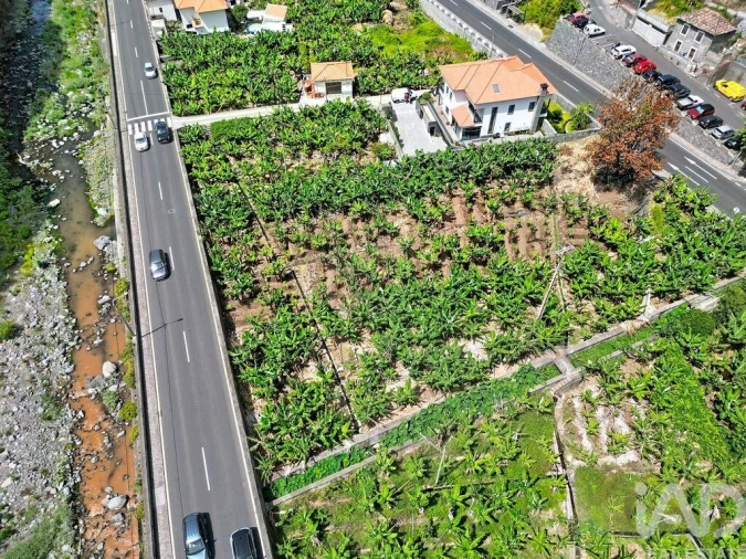 Terreno para Venda em Ribeira Brava Foto 2