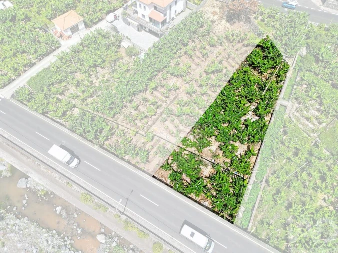 Terreno para Venda em Ribeira Brava Foto 4