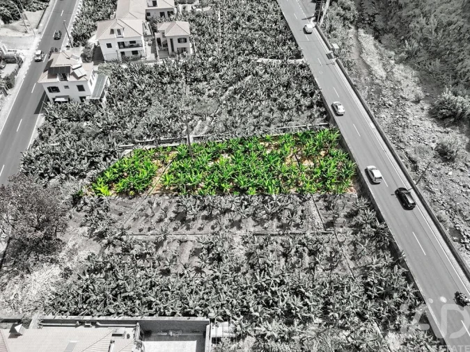Terreno para Venda em Ribeira Brava Foto 3