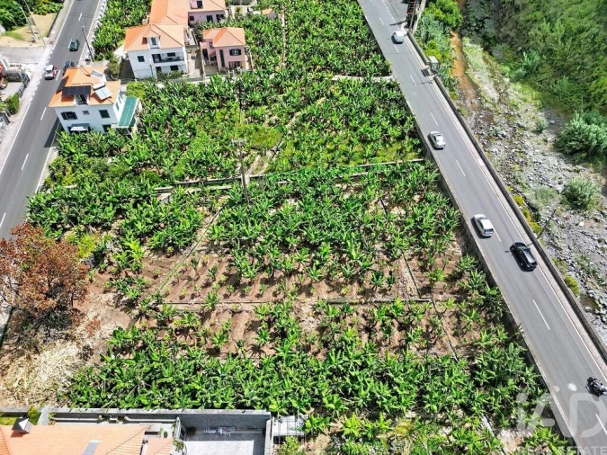 Terreno para Venda em Ribeira Brava Foto 6