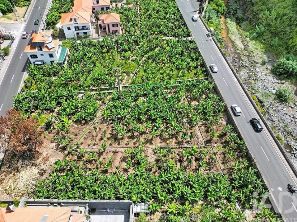Terreno para Venda em Ribeira Brava Foto 6