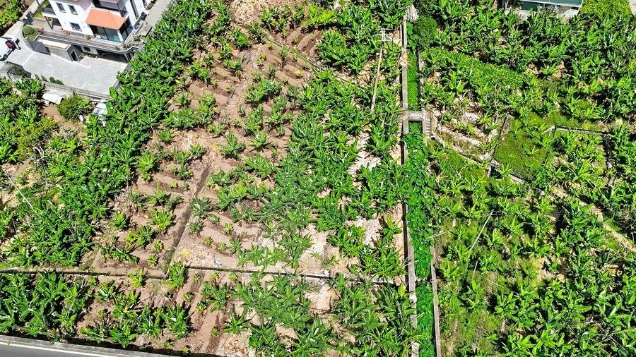 Terreno para Venda em Ribeira Brava