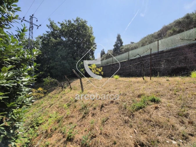 Terreno para Venda em Britelo Foto 10