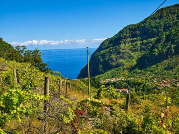 Moradia T3 para Venda em São Vicente