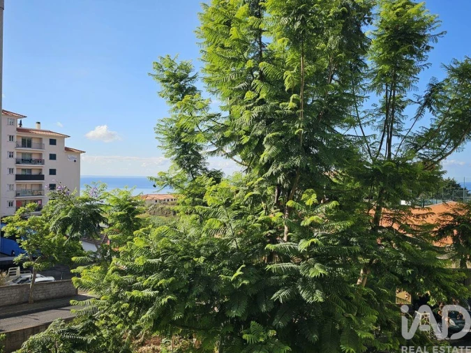 Apartamento T2 para Venda em Caniço Foto 2