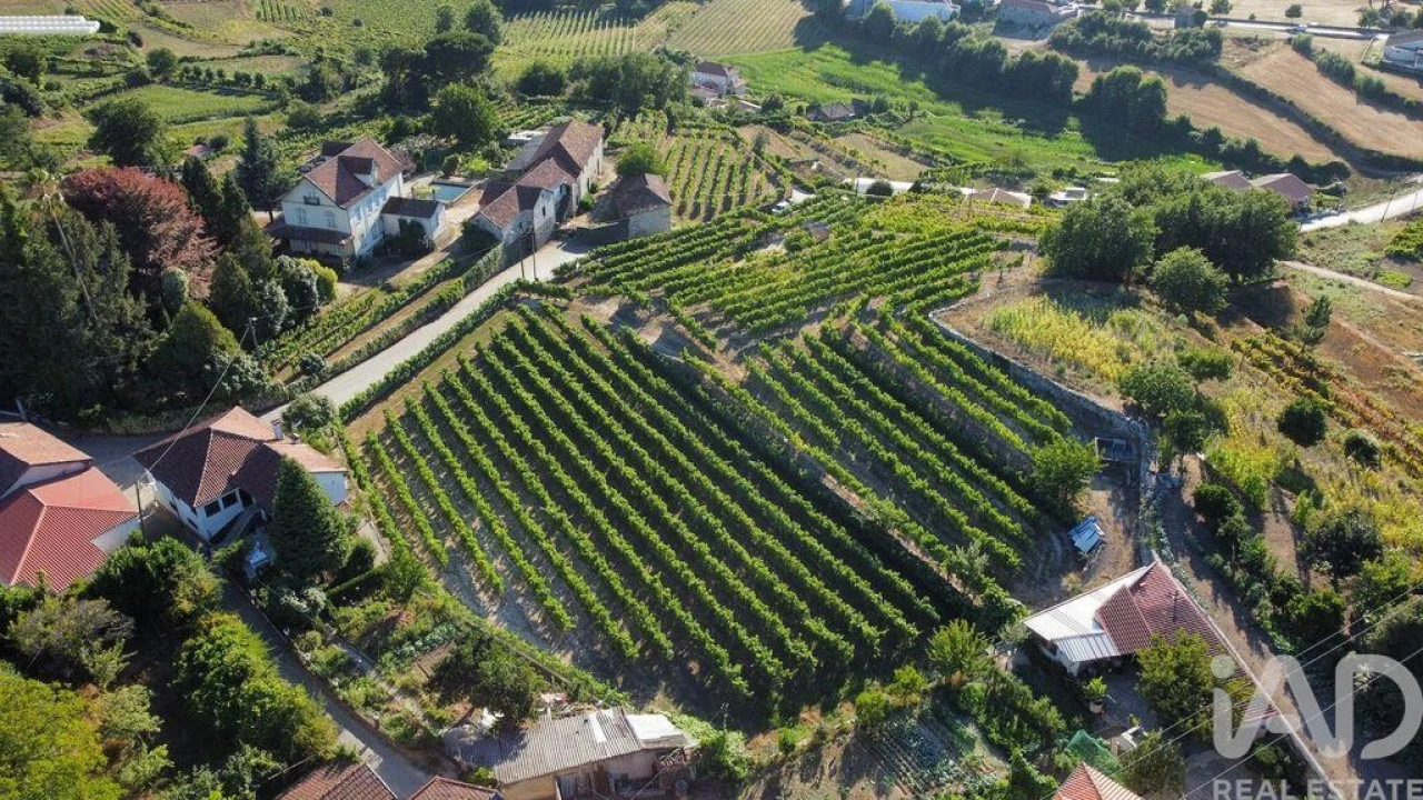 Terreno para Venda em Figueiró (Santiago e Santa Cristina) Foto 4