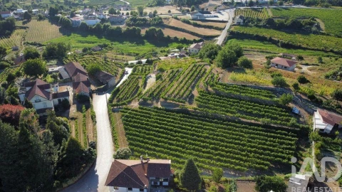 Terreno para Venda em Figueiró (Santiago e Santa Cristina)