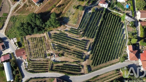 Terreno para Venda em Figueiró (Santiago e Santa Cristina)