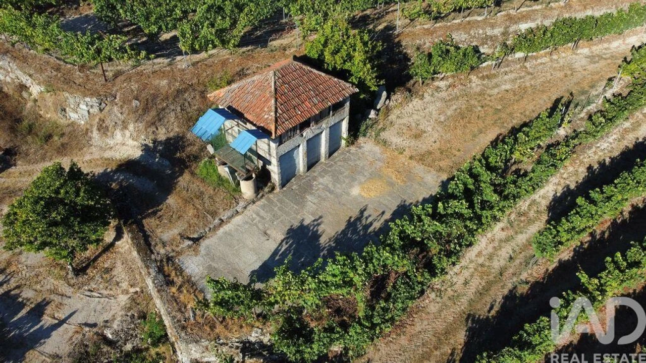 Terreno para Venda em Figueiró (Santiago e Santa Cristina) Foto 9