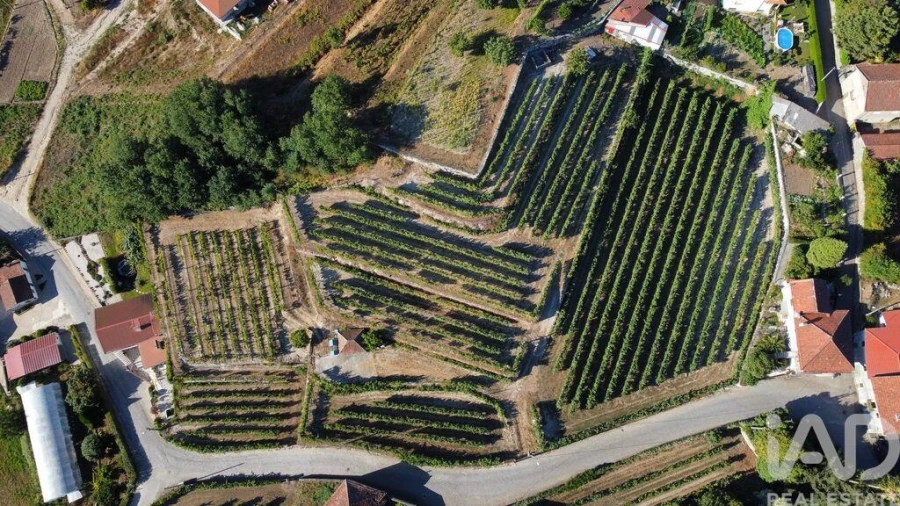 Terreno para Venda em Figueiró (Santiago e Santa Cristina) Foto 2
