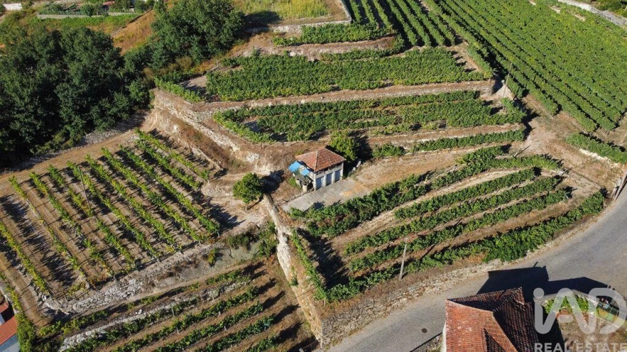Terreno para Venda em Figueiró (Santiago e Santa Cristina) Foto 3