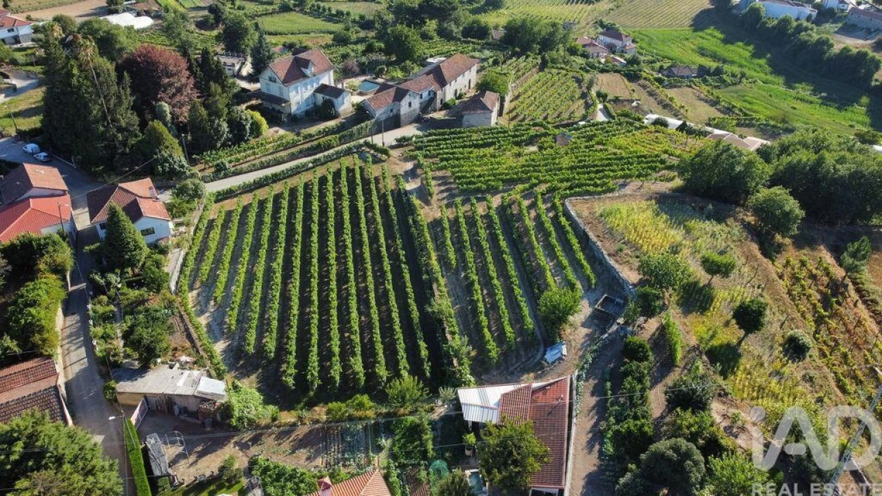 Terreno para Venda em Figueiró (Santiago e Santa Cristina) Foto 6