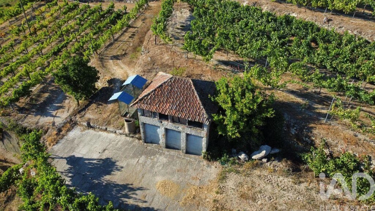 Terreno para Venda em Figueiró (Santiago e Santa Cristina) Foto 7