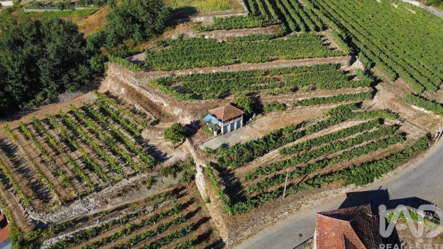 Terreno para Venda em Figueiró (Santiago e Santa Cristina)