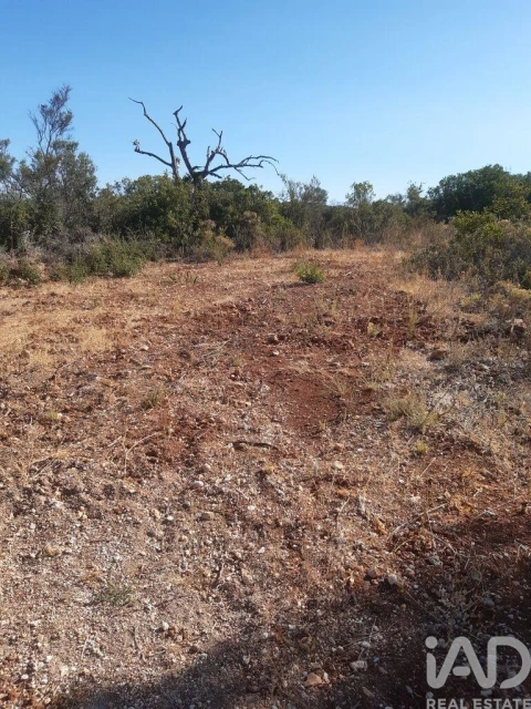 Terreno para Venda em Paderne