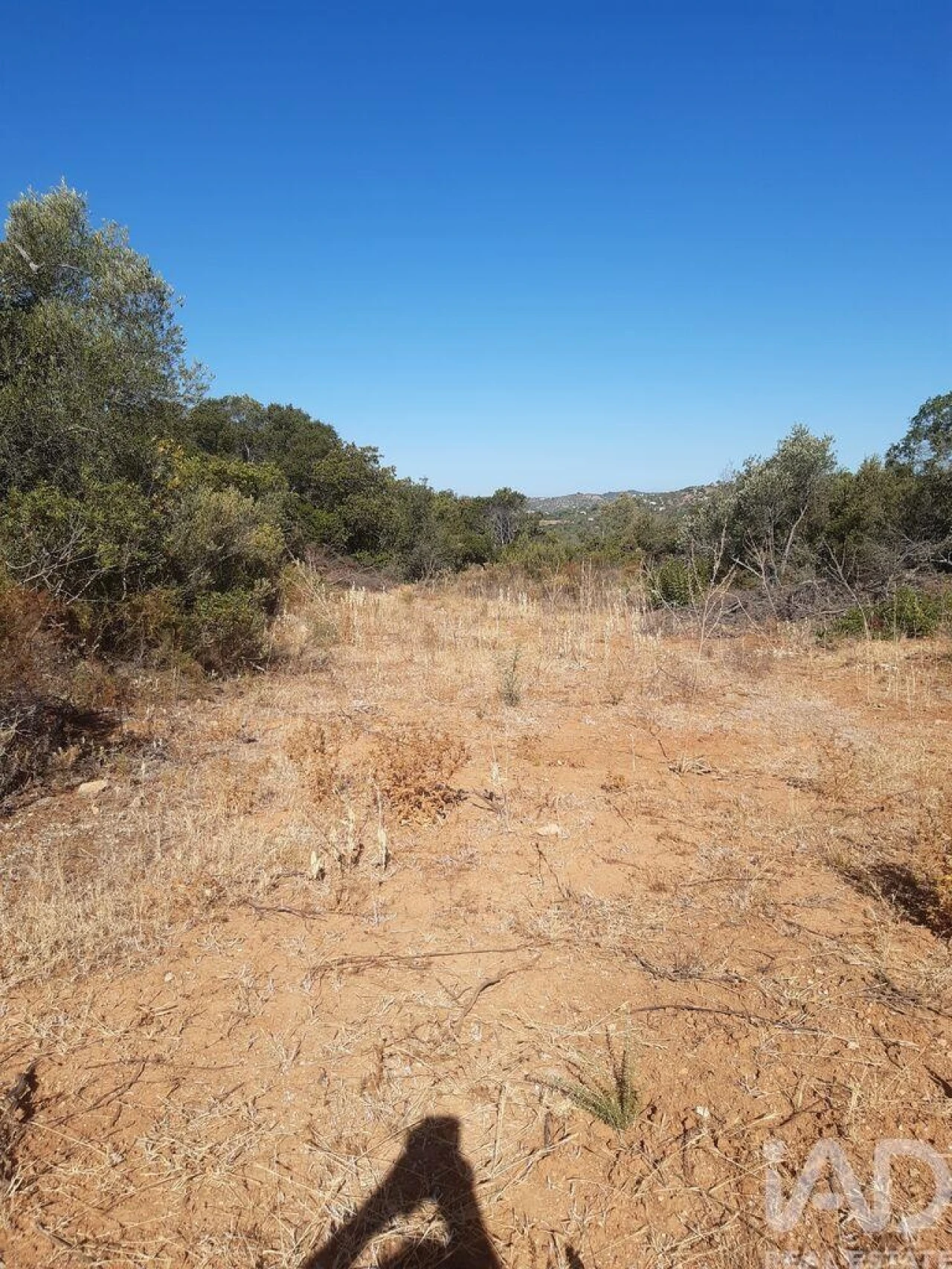 Terreno para Venda em Paderne Foto 5