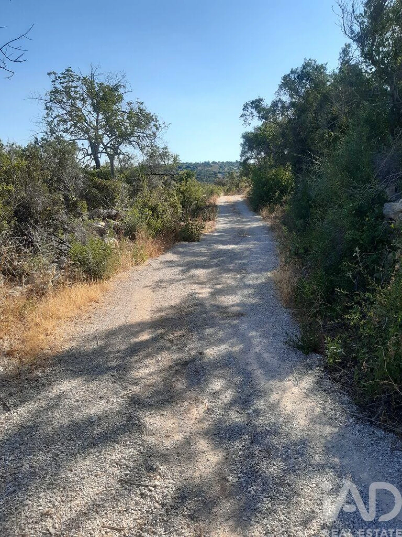 Terreno para Venda em Paderne Foto 2