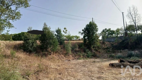 Terreno para Venda em Sarzedas