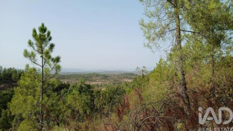 Terreno para Venda em Sarzedas