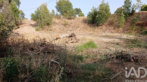 Terreno para Venda em Sarzedas