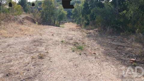 Terreno para Venda em Sarzedas