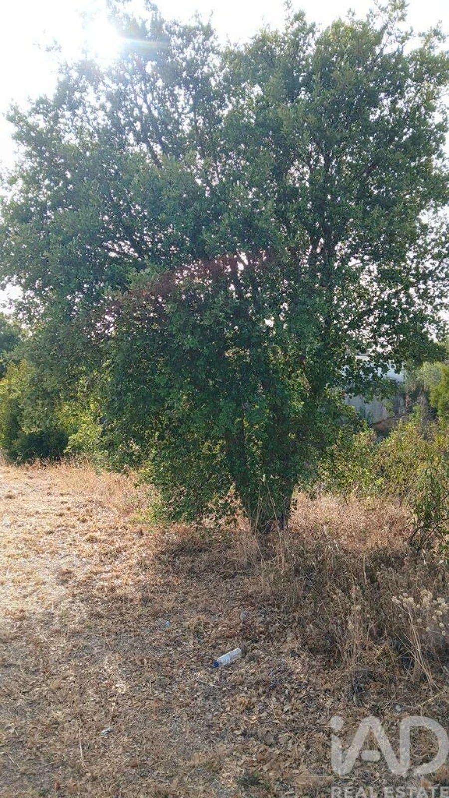 Terreno para Venda em Sarzedas Foto 10
