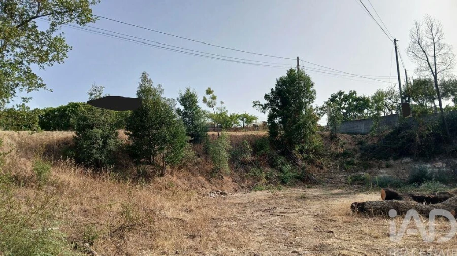 Terreno para Venda em Sarzedas Foto 9