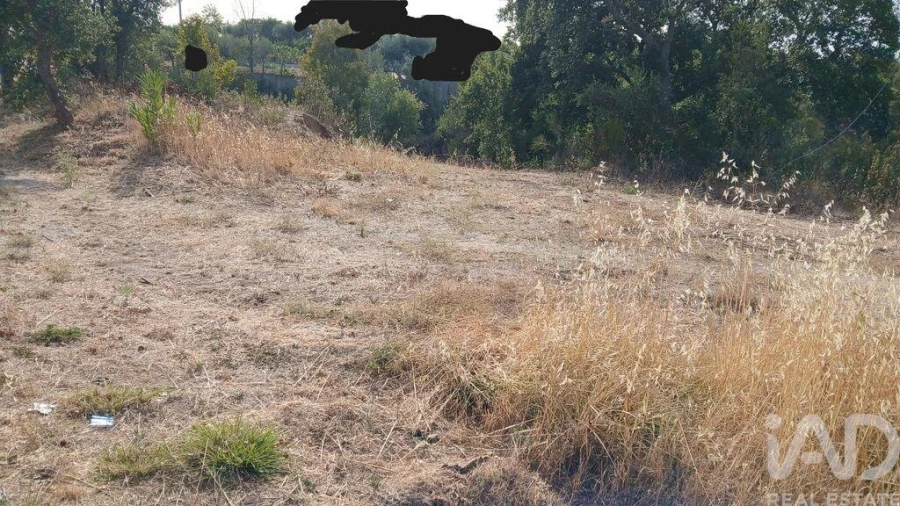 Terreno para Venda em Sarzedas Foto 7