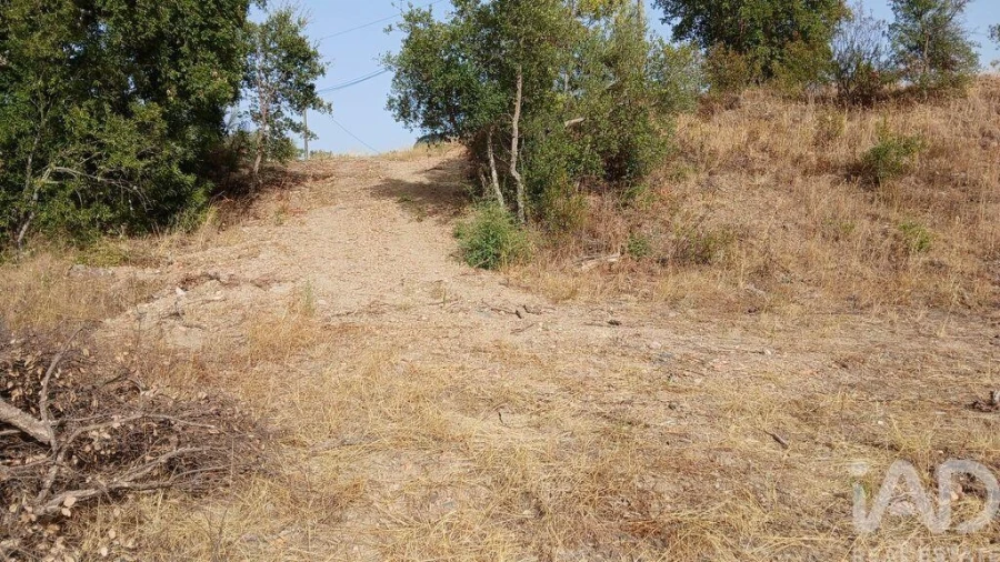 Terreno para Venda em Sarzedas Foto 3