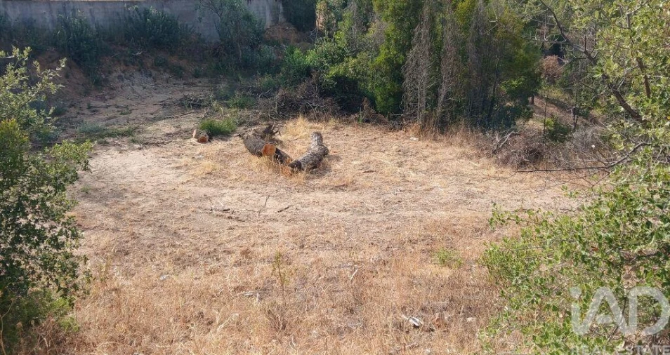 Terreno para Venda em Sarzedas Foto 5