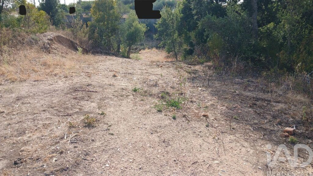 Terreno para Venda em Sarzedas Foto 2