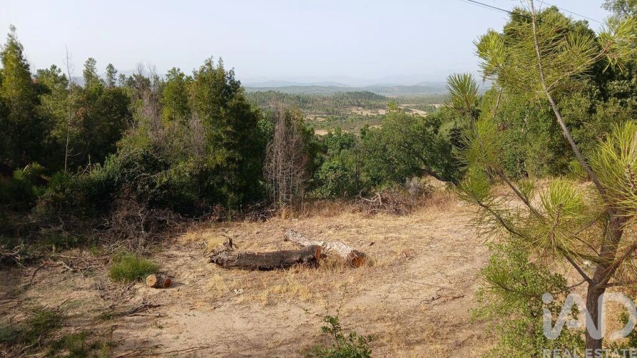 Terreno para Venda em Sarzedas Foto 1
