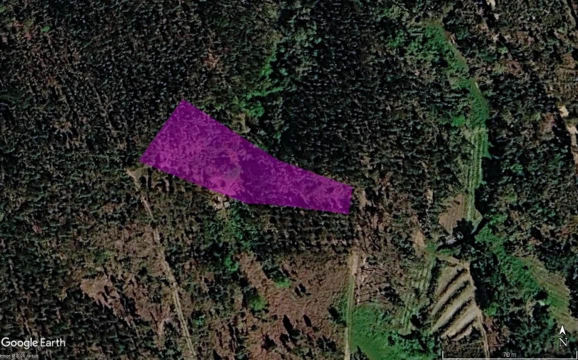 Terreno para Venda em Cernache do Bonjardim, Nesperal e Palhais Foto 3