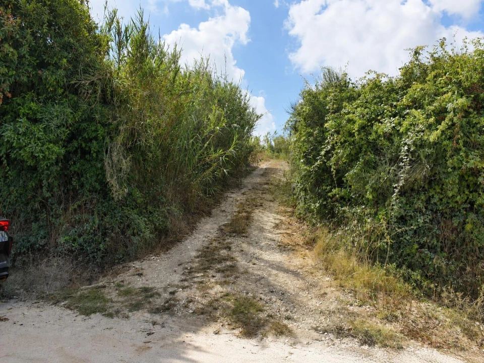 Terreno para Venda em Amoreira Foto 6