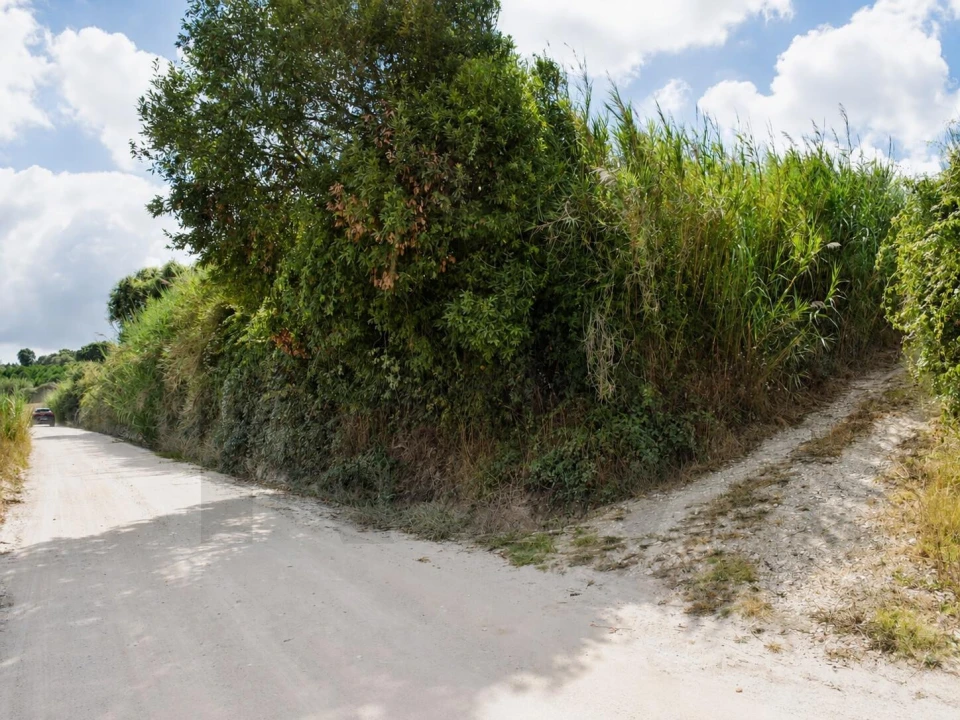 Terreno para Venda em Amoreira Foto 5
