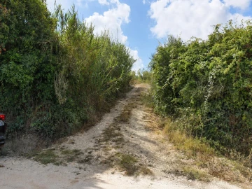 Terreno para Venda em Amoreira