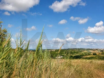 Terreno para Venda em Amoreira