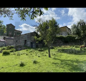 Quinta T3 para Venda em Santa Cruz do Douro e São Tomé de Covelas