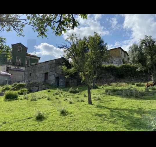 Quinta T3 para Venda em Santa Cruz do Douro e São Tomé de Covelas Foto 5