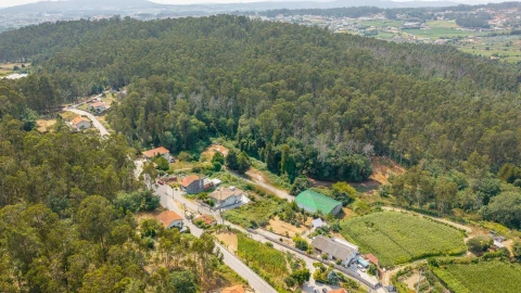 Terreno para Venda em Arentim e Cunha