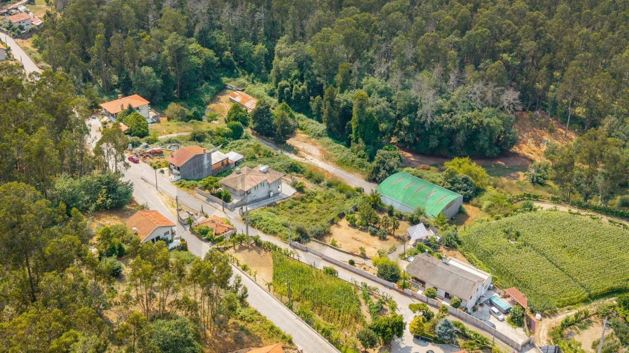 Terreno para Venda em Arentim e Cunha Foto 13