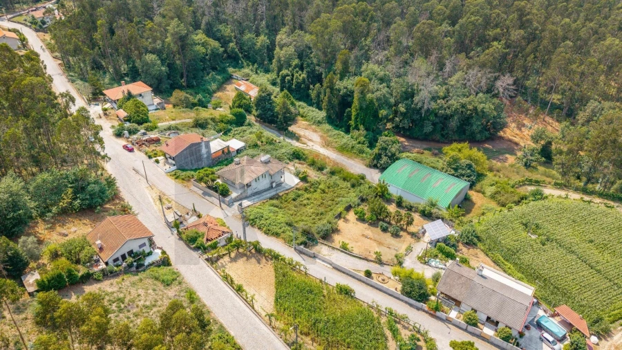 Terreno para Venda em Arentim e Cunha Foto 8