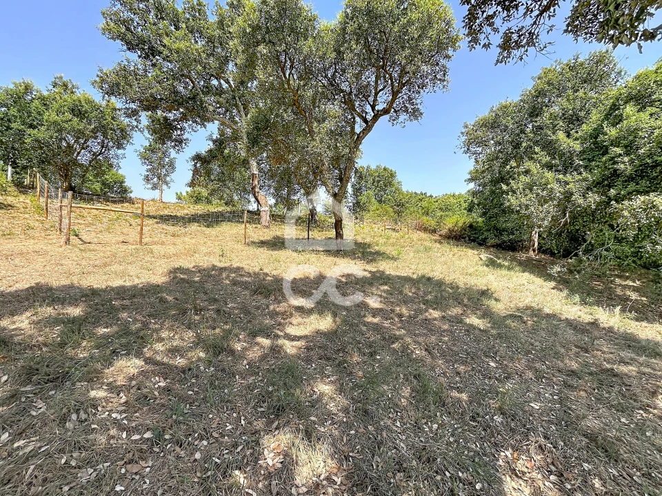 Terreno para Venda em A dos Negros Foto 2